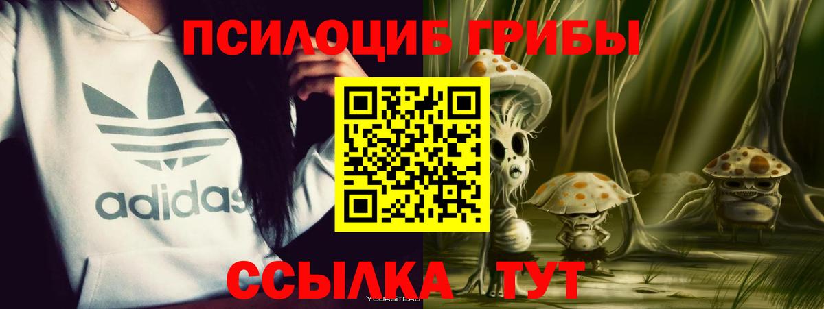 Краснотурьинск  Псилоцибиновые грибы Cubensis  Вход с VPN 